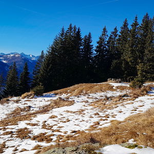 Wanderung von Wald am Schoberpass über die Brunnebenalm nach Kalwang