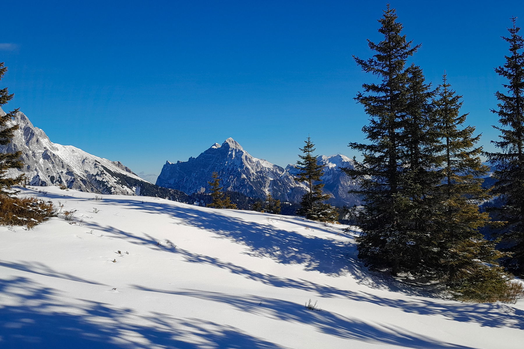 Wanderung von Trieben über den Lahngangkogel nach Gaishorn