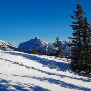 Wanderung von Trieben über den Lahngangkogel nach Gaishorn
