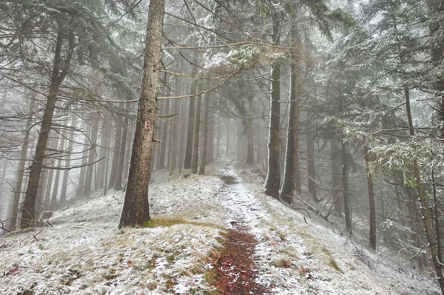 Gromannüberschreitung von Laubenbachmühle nach Frankenfels