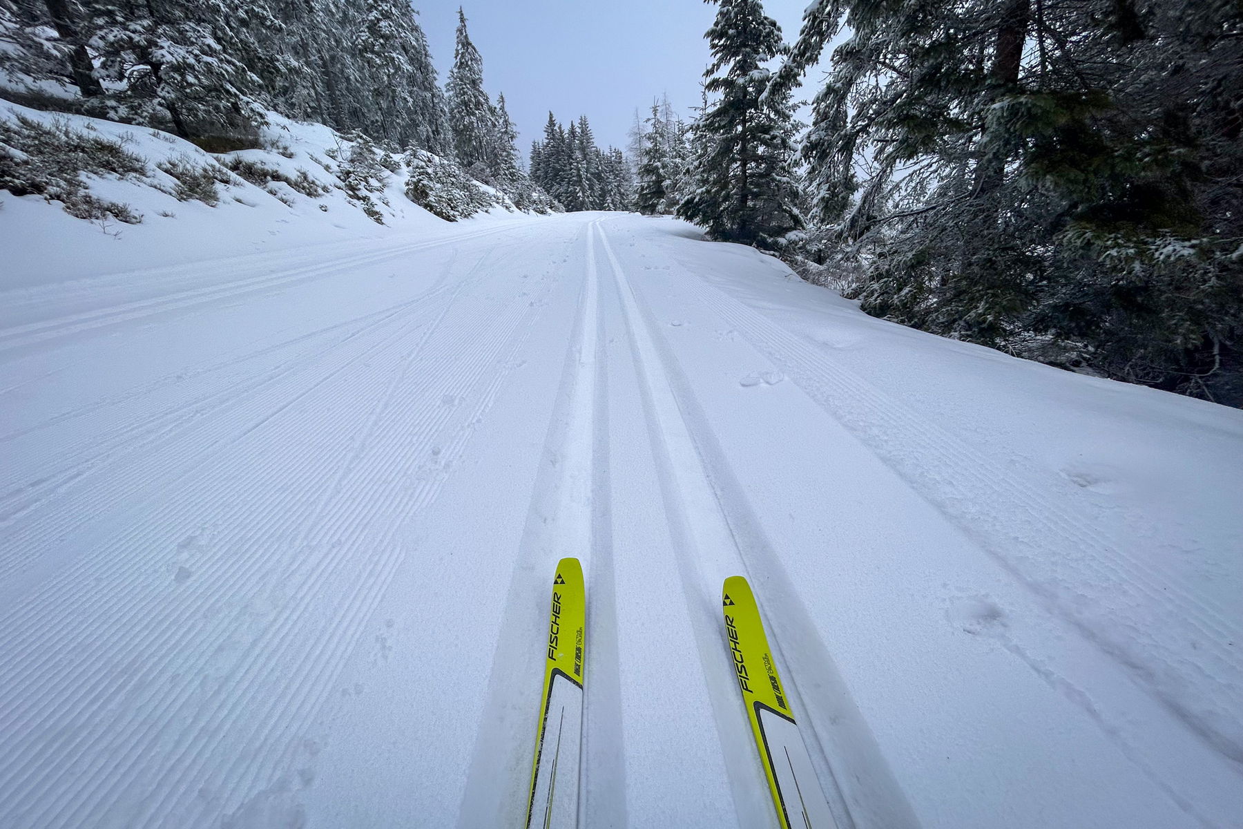 Ein etwas ungewöhnlicher Weg zur Wechsel Panoramaloipe