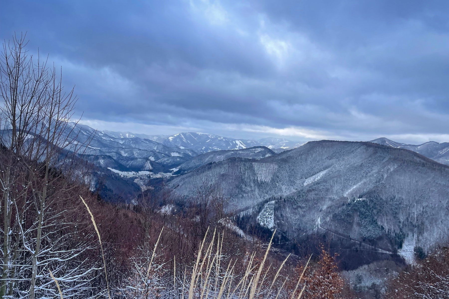 Von Freiland (nicht ganz) über den Muckenkogel nach Lilienfeld