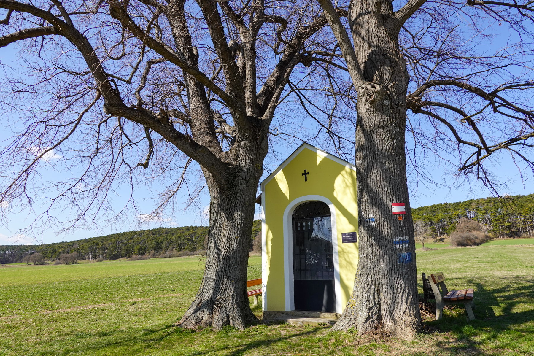 Über die Hügel des Piestingtals