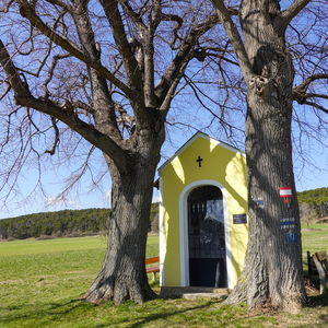 Über die Hügel des Piestingtals