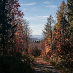 Versteckte Schönheiten auch ohne Gipfelsieg: Von Forchtenstein nach Lanzenkirchen