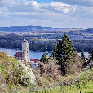 Auf sonnigen Pfaden durch die Kremser Weinberge